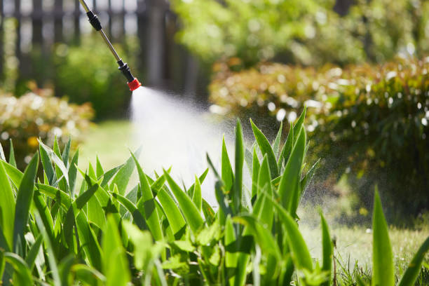 24/7 Emergency Rodent Control experts in Prairie View, TX