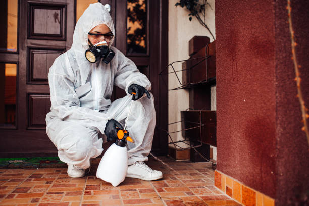 Reliable Rodent Control contractor in Prairie View, TX by Nex Pest Control