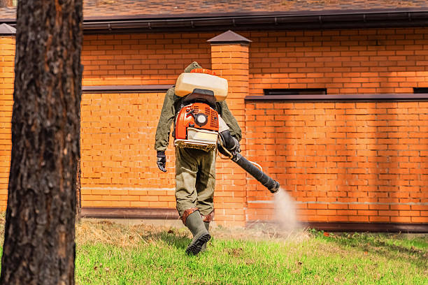Trusted Rodent Control service in Prairie View, TX - Nex Pest Control